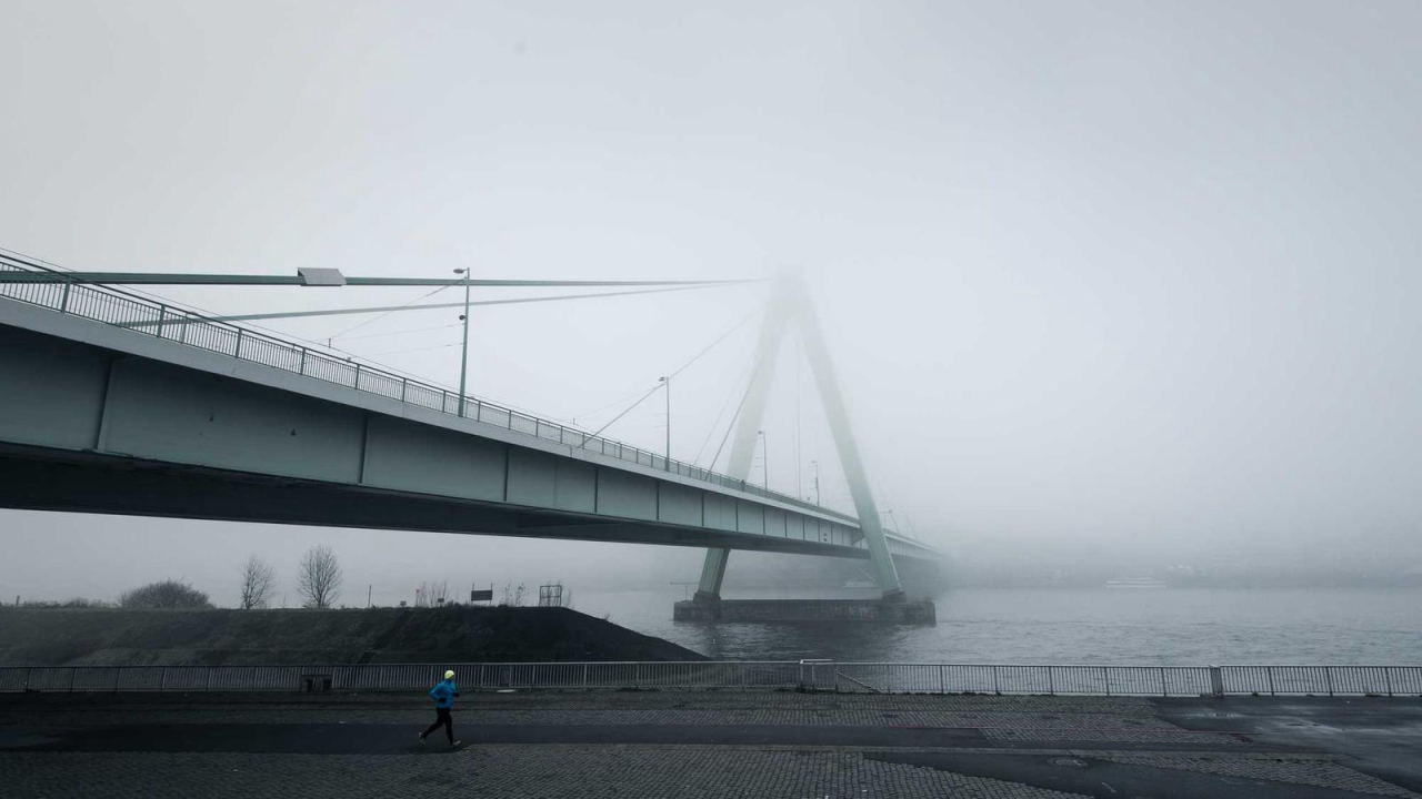 Scientist reviewing research in a lab