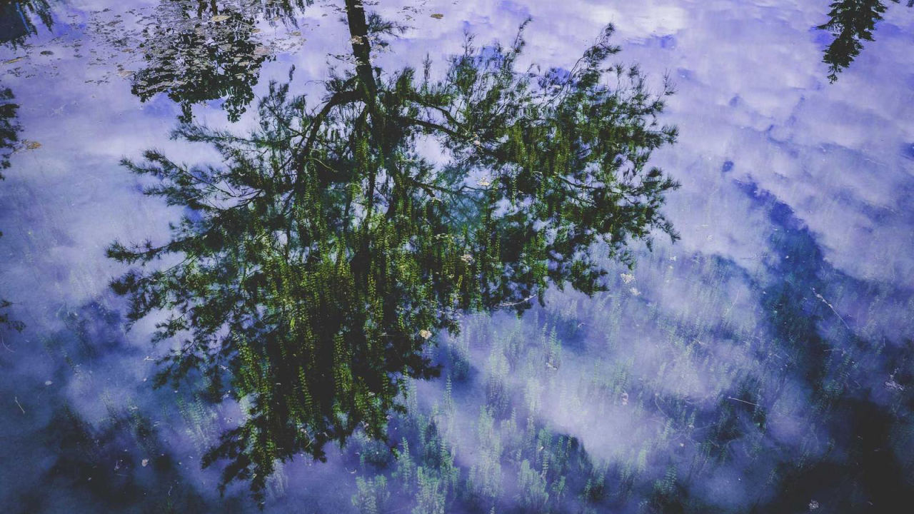 Abstract visualization of AI research